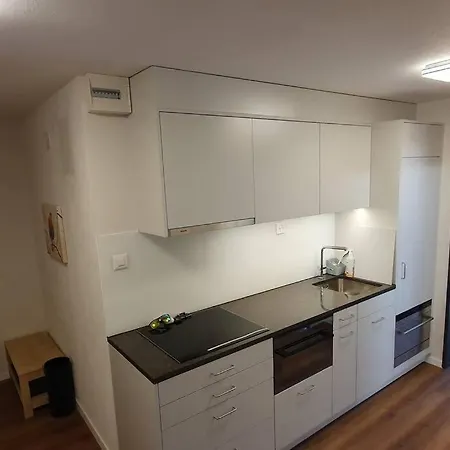 Stilvolle Mit Traumhaftem Bergblick Disentis